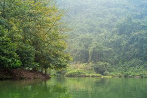 Read more about the article Does Meditation Really Calm Anxiety? The Truth About Natural Anxiety Relief