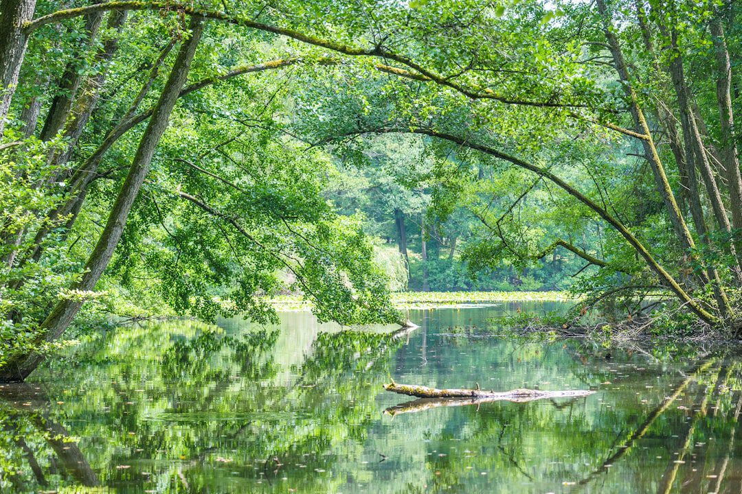 Read more about the article Natural Anxiety Relief: What Actually Works? Dive In