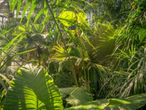 Read more about the article Digital Detox: How I Reclaimed 3 Hours Daily From My Phone