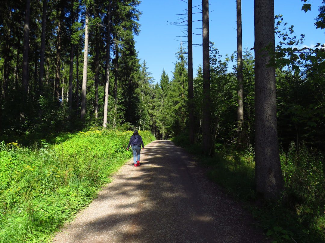 You are currently viewing 10000 Steps a Day: Is the Hype Real or Just a Marketing Myth?