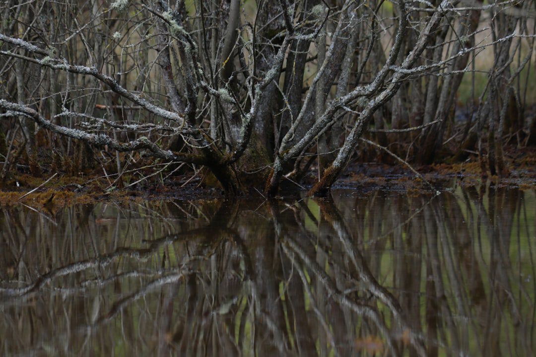 Read more about the article Mindfulness for Busy Professionals: Can You Fit It In?