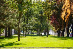 Read more about the article The Power of Nature: How Spending Time Outdoors Boosts Health