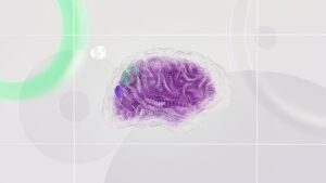 Read more about the article The Gut-Brain Axis: How Your Gut Controls Your Mind
