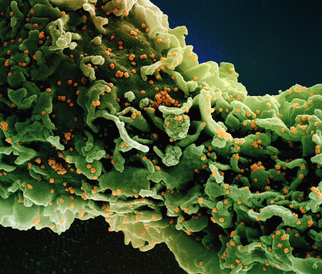 Read more about the article Gut Dysbiosis: What Happens When Your Microbiome Falls Out