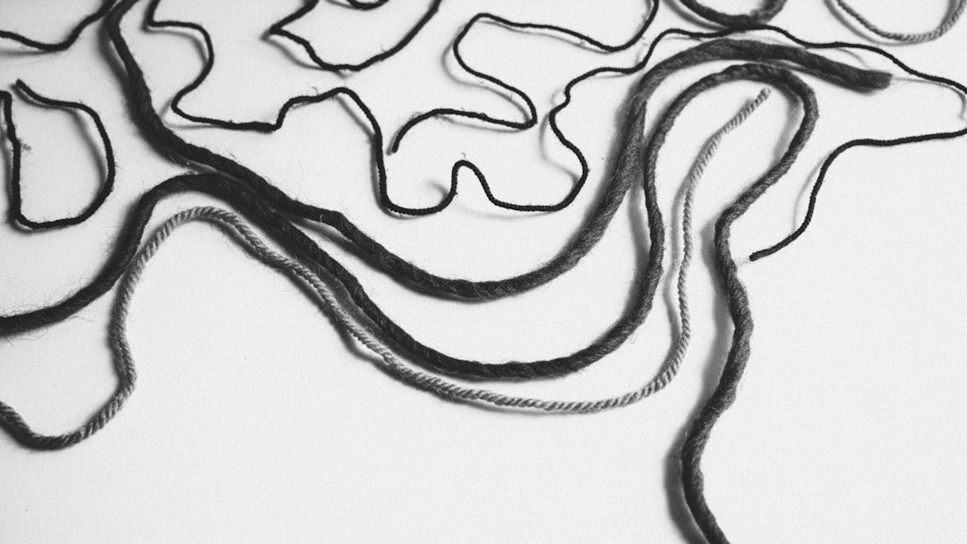 Read more about the article The Vagus Nerve: The Hidden Highway Between Your Gut and Brain