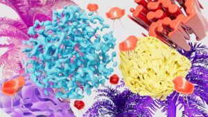 Read more about the article Microbiome Diversity: Why a Diverse Gut Is a Healthy Gut