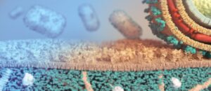 Read more about the article Short-Chain Fatty Acids: The Compounds Your Gut Bacteria M