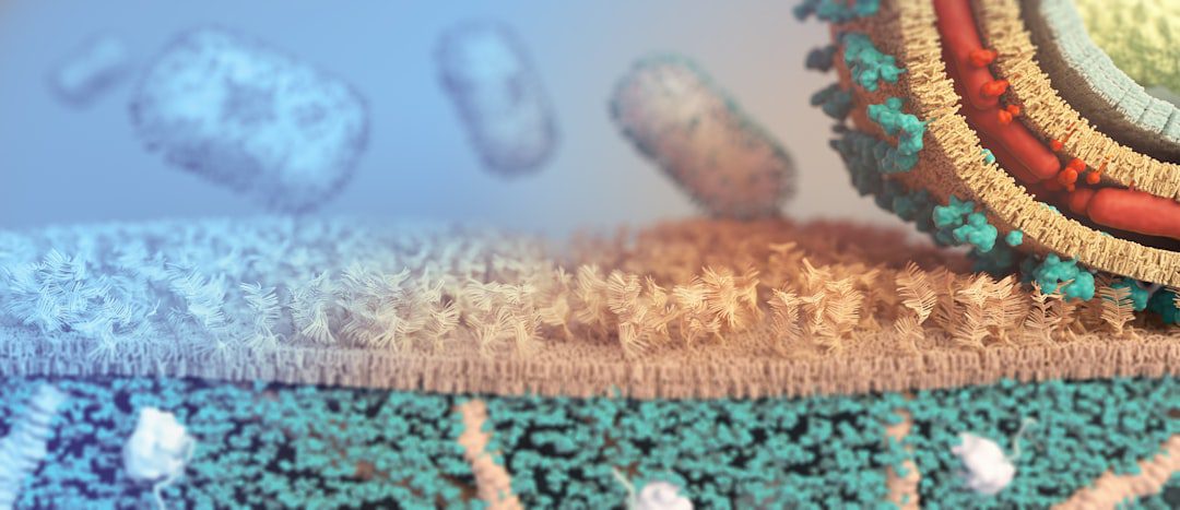 Read more about the article Short-Chain Fatty Acids: The Compounds Your Gut Bacteria M