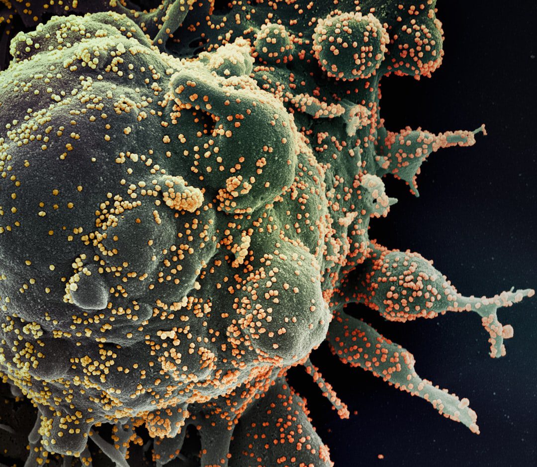 Read more about the article Gut and Immune System Connection: What 70% Means